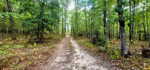 Other - 170 Desiree Dr, Dunlap, TN 37327 photo 1 of 8