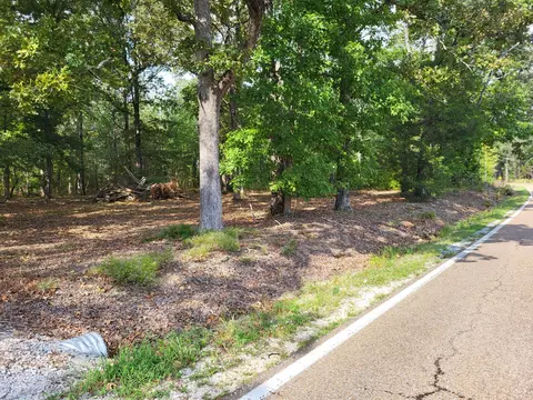 1 Birdsong Rd, Camden, TN 38320