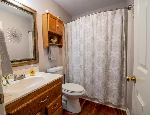 Bath - 120 Kimberly Dr, Loretto, TN 38469 photo 3 of 3
