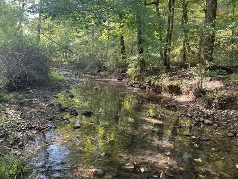 0 Morrison Creek Rd, Clifton, TN 38425