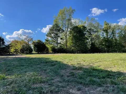 89 Shannon Rd, Leoma, TN 38468