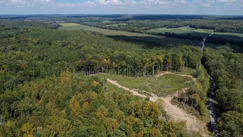 0 Robinson Levee Rd, Mckenzie, TN 38201