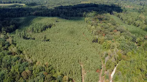 0 Haglersville Rd, Henry, TN 38231
