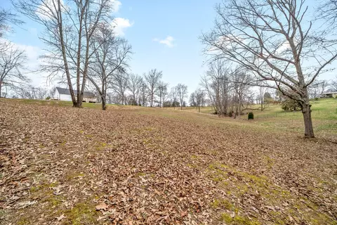 Exterior - 4619 Akin Rd, Cunningham, TN 37052 photo 9 of 10