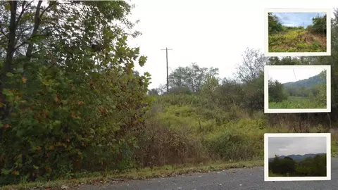 150 Dycus Landing Ln, Whitleyville, TN 38588
