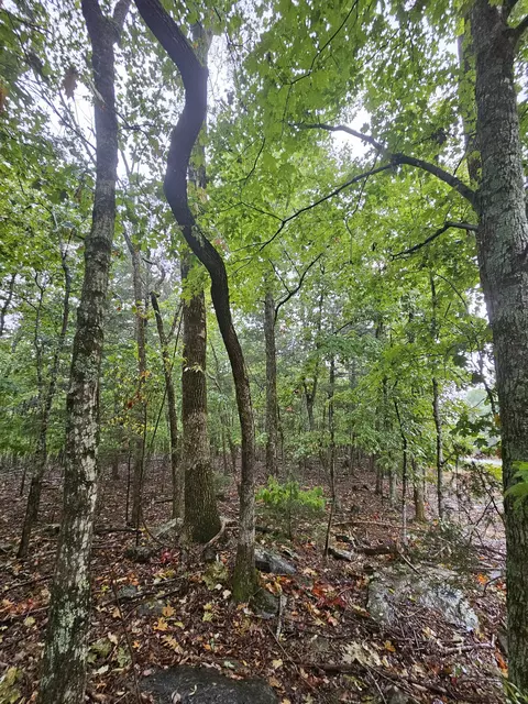 5 Sewanee Summitt Rd, Decherd, TN 37324 photo 13