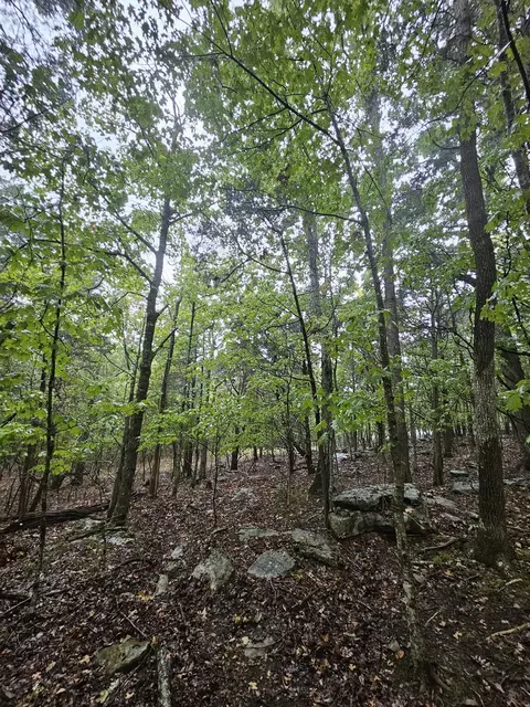 5 Sewanee Summitt Rd, Decherd, TN 37324 photo 8