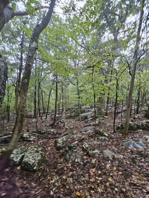 5 Sewanee Summitt Rd, Decherd, TN 37324 photo 2
