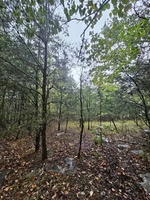 5 Sewanee Summitt Rd, Decherd, TN 37324 photo 7