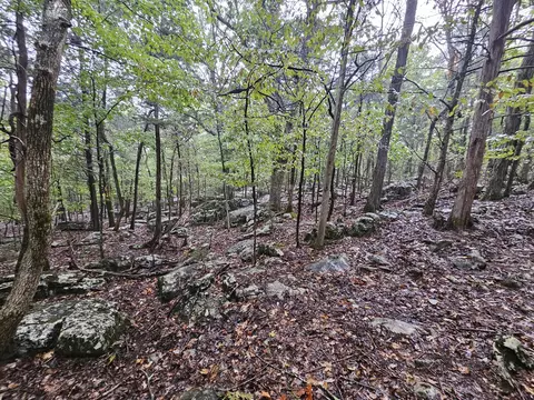 5 Sewanee Summitt Rd, Decherd, TN 37324