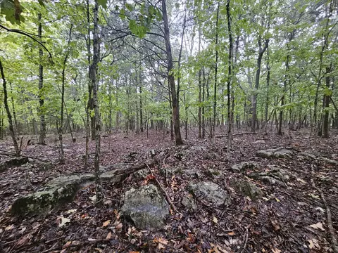 5 Sewanee Summitt Rd, Decherd, TN 37324 photo 11