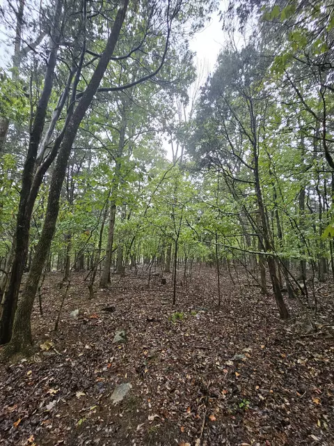 5 Sewanee Summitt Rd, Decherd, TN 37324 photo 9