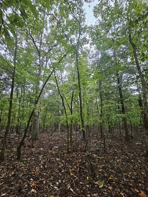 5 Sewanee Summitt Rd, Decherd, TN 37324 photo 14