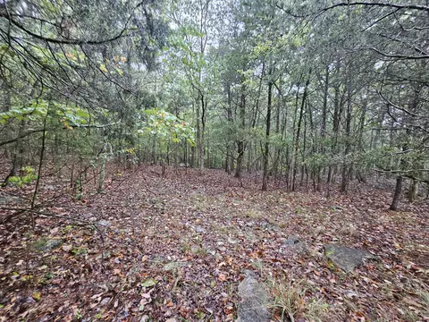 5 Sewanee Summitt Rd, Decherd, TN 37324 photo 6