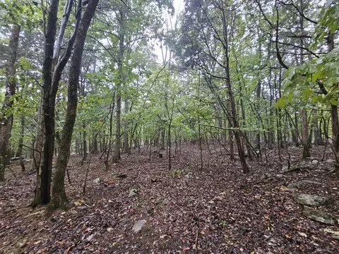 5 Sewanee Summitt Rd, Decherd, TN 37324 photo 10