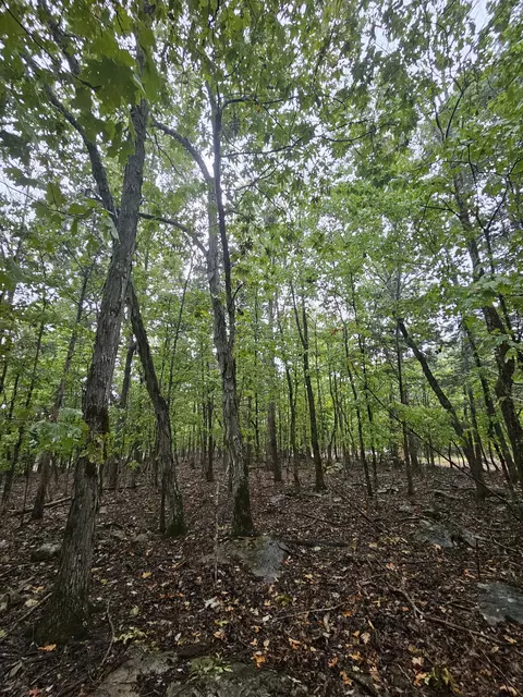 5 Sewanee Summitt Rd, Decherd, TN 37324 photo 12