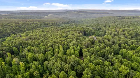 95 Blue Sky Rd, Dunlap, TN 37327 photo 47