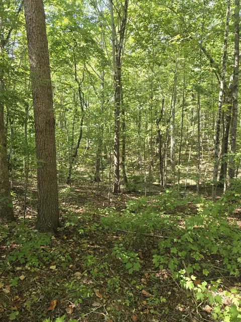 0 Raven Cliff Rd, Graysville, TN 37338