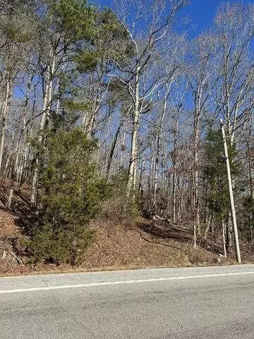 3 NW Lower River Rd, Charleston, TN 37310