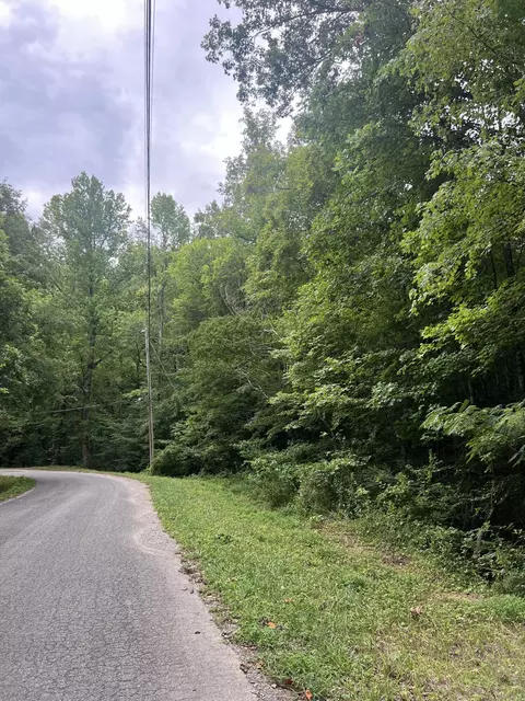 0 Hays Hollow Rd, Flintstone, GA 30725