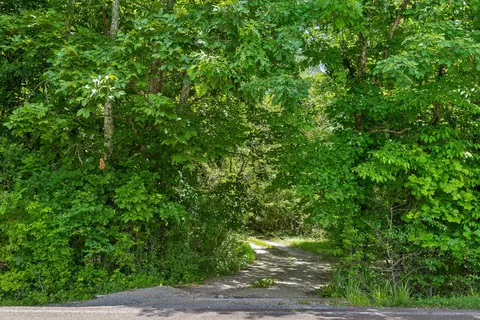 14110 Mount Tabor Rd, Soddy Daisy, TN 37379