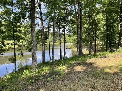 213 Austin Way, Dalton, GA 30721 photo 9