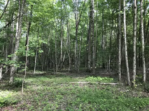 7 Hobbstown Rd, Dunlap, TN 37327