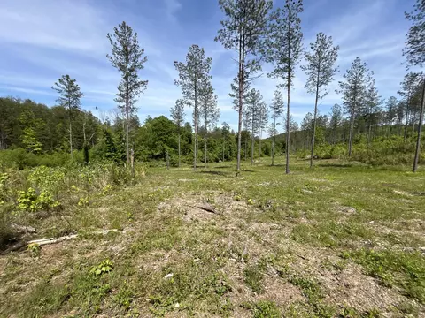 526 Prigmore Ridge Rd, Decatur, TN 37322