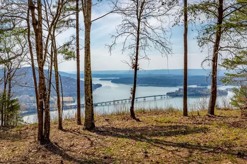 1085 Buck Crossing Dr, Guild, TN 37340 photo 3
