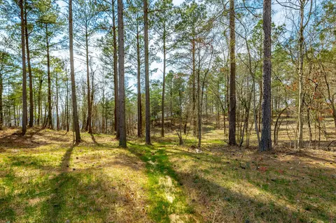 1085 Buck Crossing Dr, Guild, TN 37340 photo 43