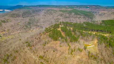 1085 Buck Crossing Dr, Guild, TN 37340 photo 51