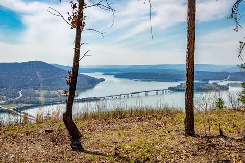 1085 Buck Crossing Dr, Guild, TN 37340 photo 31