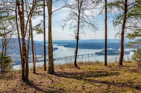 1085 Buck Crossing Dr, Guild, TN 37340 photo 3