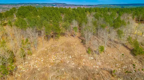 1085 Buck Crossing Dr, Guild, TN 37340 photo 53