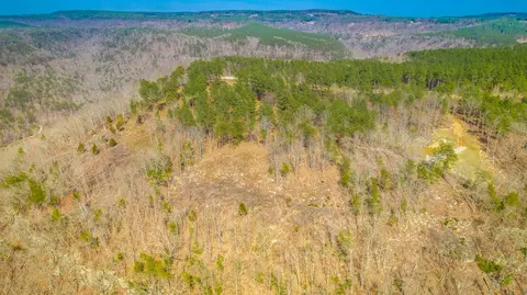 1085 Buck Crossing Dr, Guild, TN 37340 photo 54