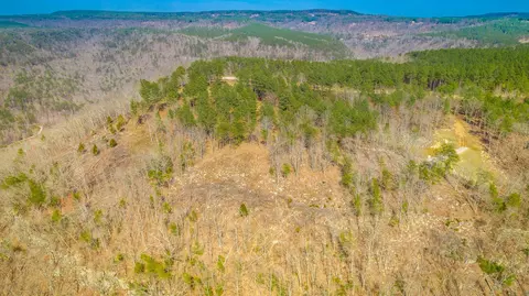 1085 Buck Crossing Dr, Guild, TN 37340 photo 54