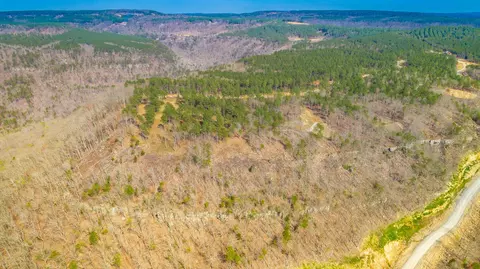 1085 Buck Crossing Dr, Guild, TN 37340 photo 58