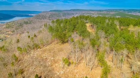 1085 Buck Crossing Dr, Guild, TN 37340 photo 70