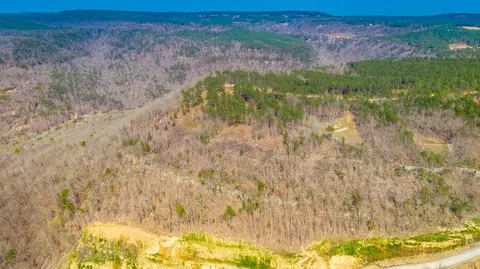 1085 Buck Crossing Dr, Guild, TN 37340 photo 59
