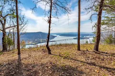 1085 Buck Crossing Dr, Guild, TN 37340 photo 30
