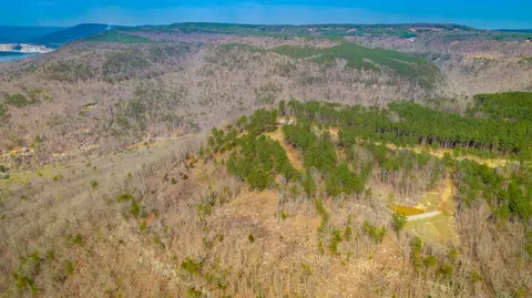 1085 Buck Crossing Dr, Guild, TN 37340 photo 51