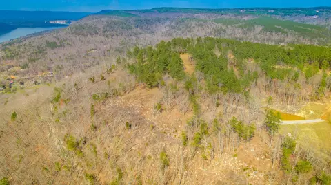 1085 Buck Crossing Dr, Guild, TN 37340 photo 71