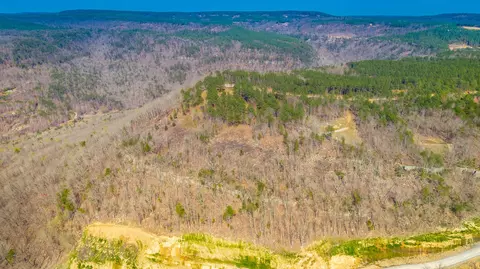 1085 Buck Crossing Dr, Guild, TN 37340 photo 59