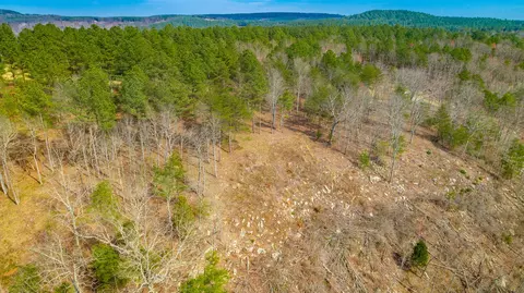 1085 Buck Crossing Dr, Guild, TN 37340 photo 44