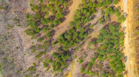 1085 Buck Crossing Dr, Guild, TN 37340 photo 75
