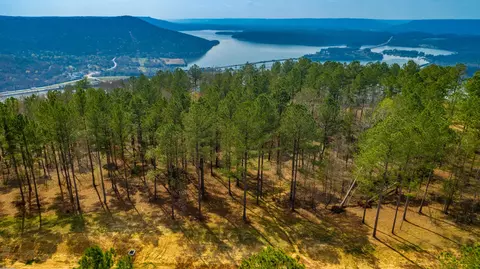 1085 Buck Crossing Dr, Guild, TN 37340 photo 91