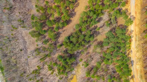 1085 Buck Crossing Dr, Guild, TN 37340 photo 76