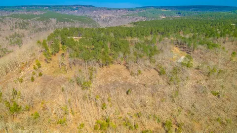 1085 Buck Crossing Dr, Guild, TN 37340 photo 55