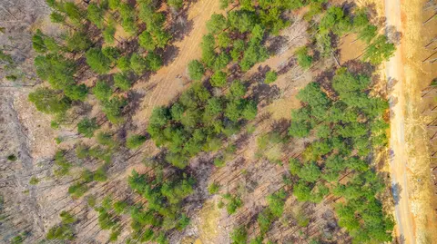 1085 Buck Crossing Dr, Guild, TN 37340 photo 74
