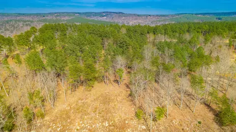1085 Buck Crossing Dr, Guild, TN 37340 photo 67